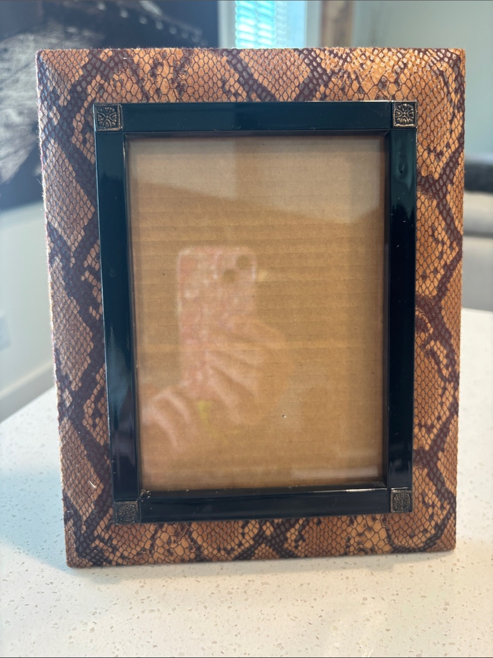 Vintage Python Snakeskin Pattern Picture Frame • Black Enamel Inner Border